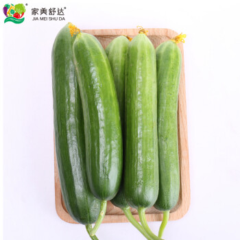 家美舒达山东农特产水果黄瓜1kg小黄瓜健康轻食新鲜蔬菜	